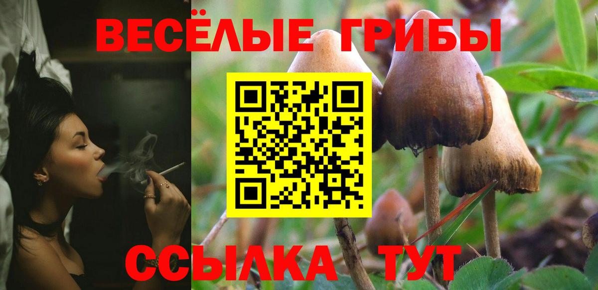 Галлюциногенные грибы мицелий  Псилоцибиновые грибы Magic Shrooms  Вход с VPN  Ипатово 